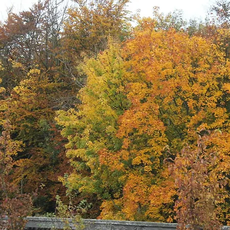Haus Feldmann *
