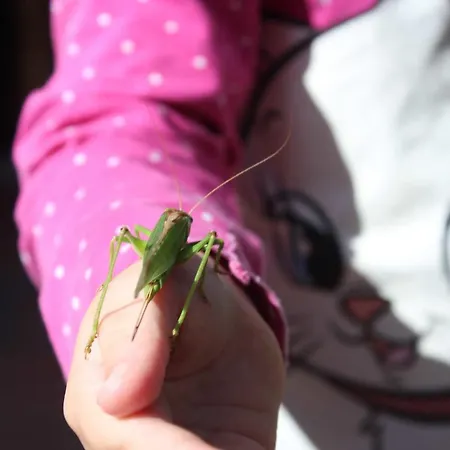 Haus Feldmann Ranzow